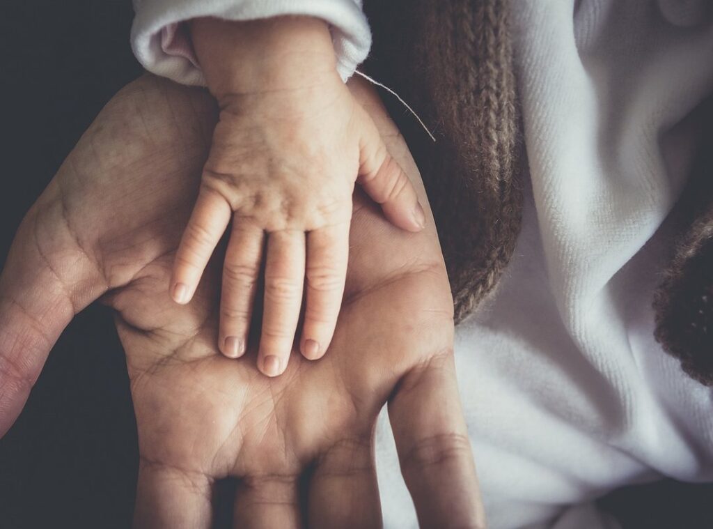 career and motherhood