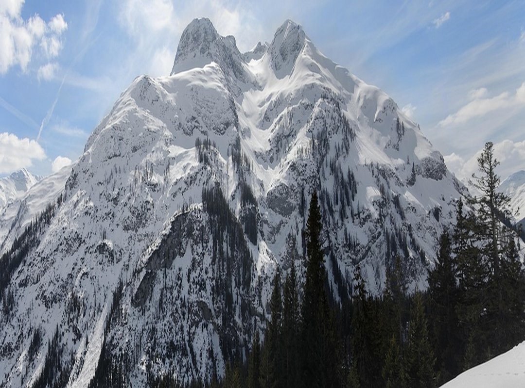 Top Tips for Beautiful Coloring Results