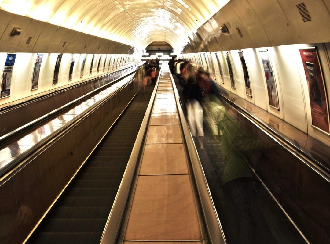 How to Choose the Right Artist for a Delicate Design